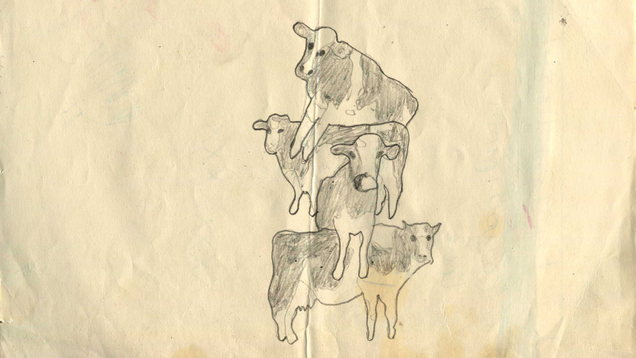 Illustration for article titled Incredible: Lewis And Clark’s Sketches Of The Animals They Encountered On Their Journey Will Blow You Away